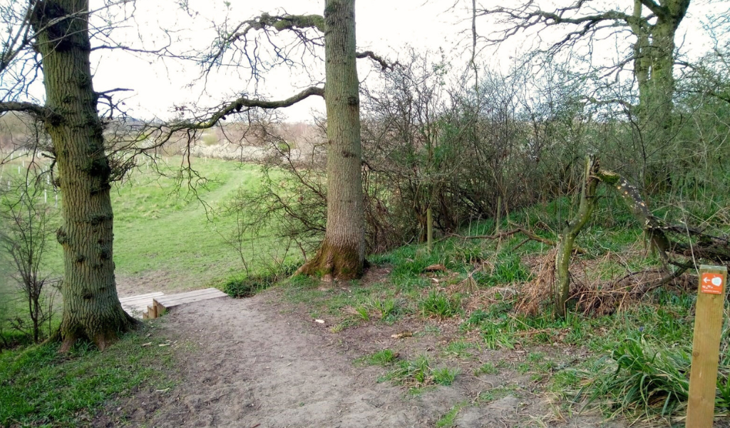 A footpath leading through mature trees to a set of wooden steps