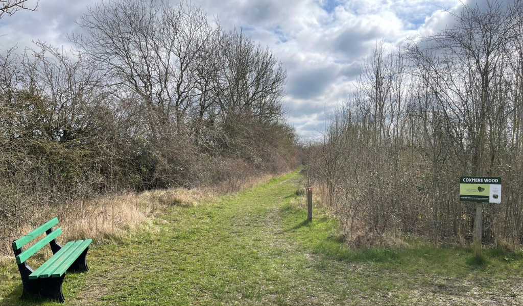 A bench and Coxmere Wood sign at a fork in the woodland path