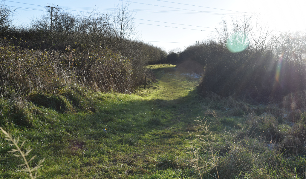 The footpath continues leading to a coppiced hazel area