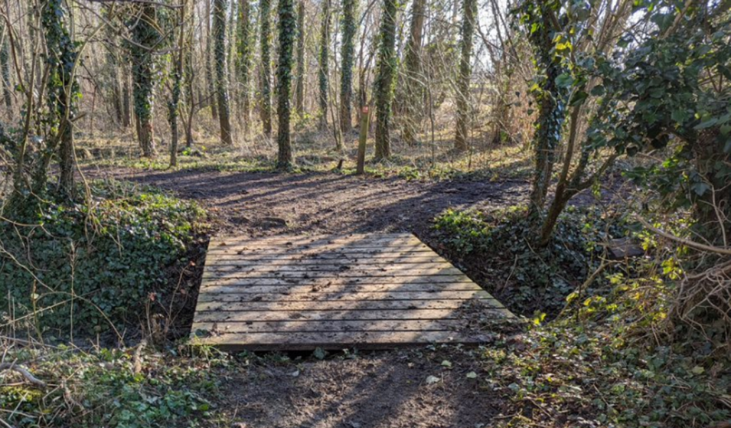 A wooden bridge over a brook in the Forest