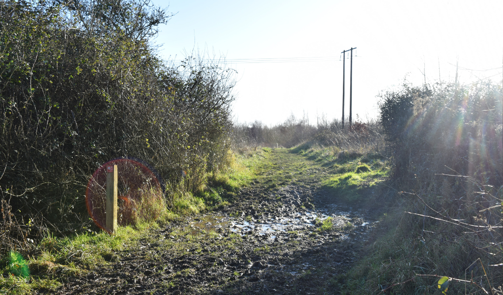 The footpath continuing uphill alongside a woodland edge