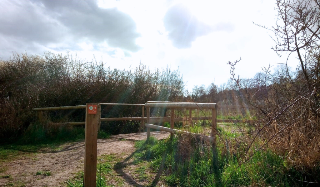 A wooden bridge leading through a hedgerow over a stream