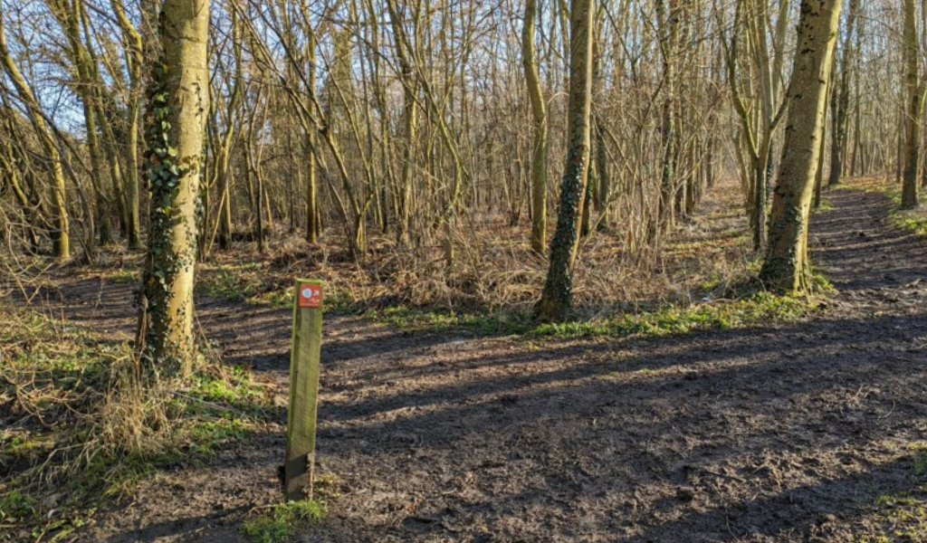 A waymarker sign in the left hand corner continuing along a woodland footpath