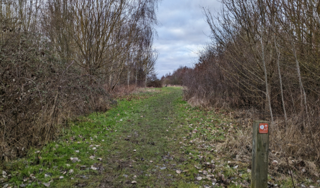 The footpath continuing between hedgerows with a waymarker post in the bottom right hand corner