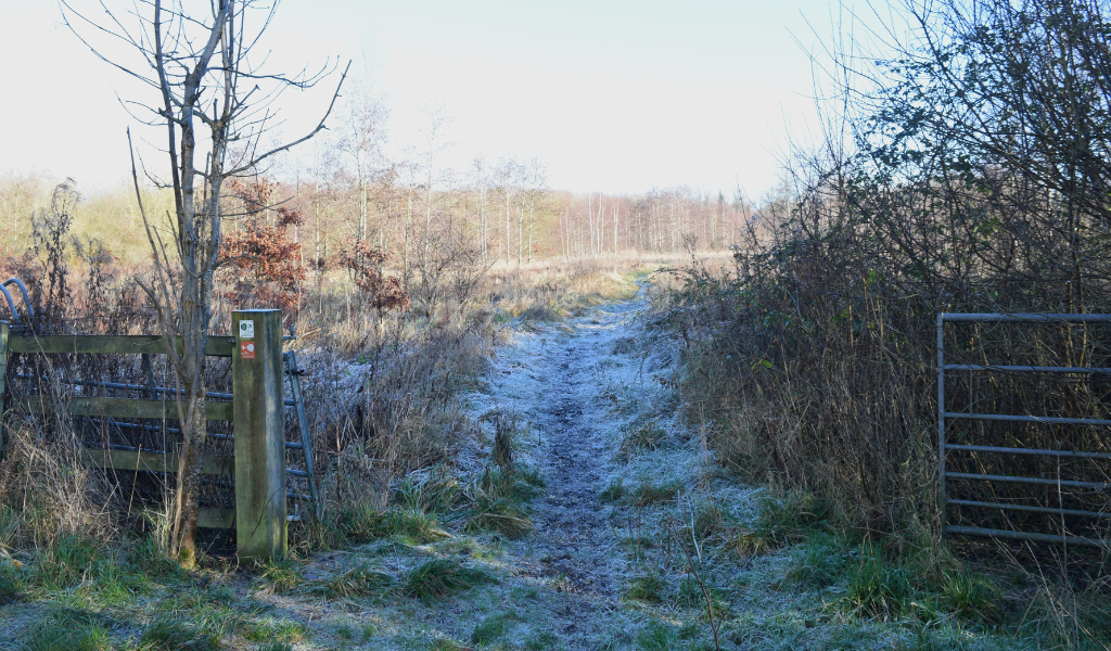 The right hand fork direction leading towards the large pond