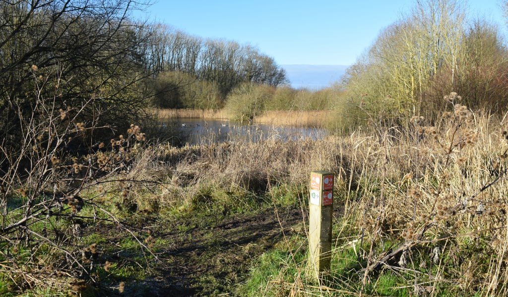 A view of a large pond with a waymarker post along the footpath in the forefront