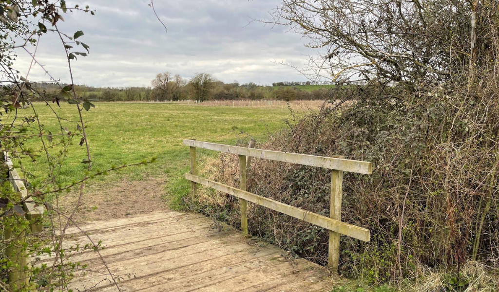 A bridge between hedgerows leading to an open area