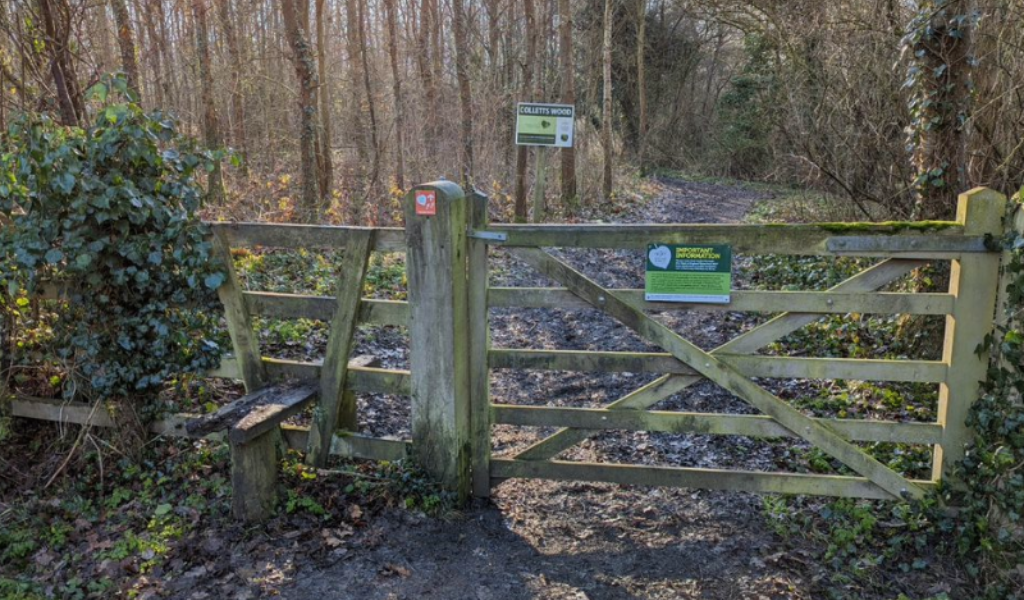 A wooden gate leading to Colletts Wood