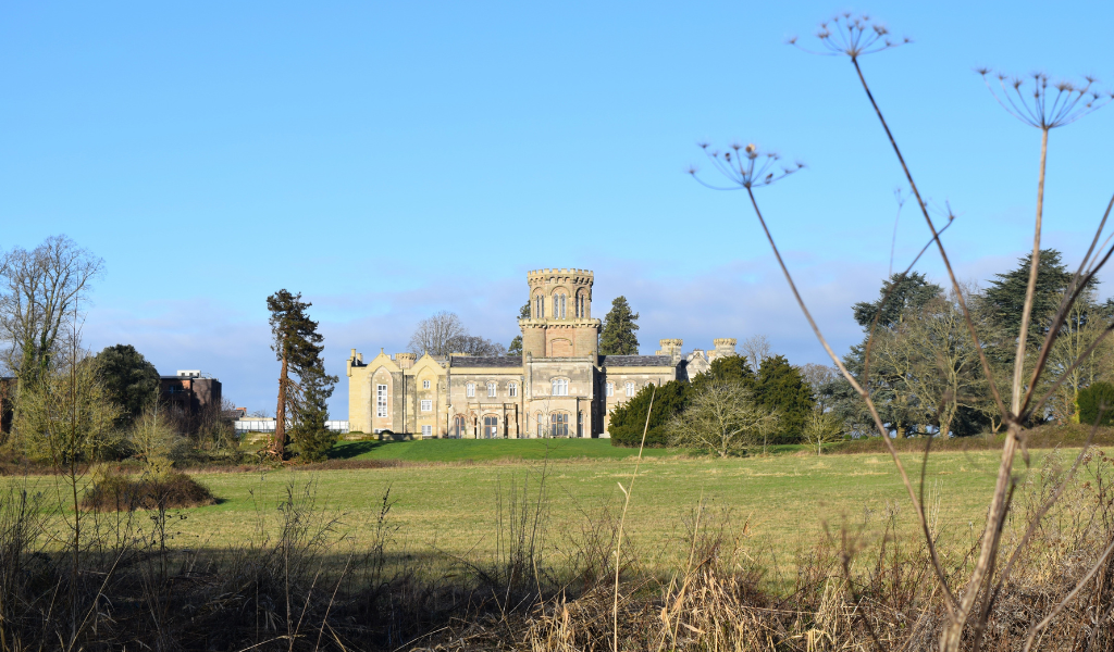 A view of Studley Castle in the distance with dried grasses framing in the forefront