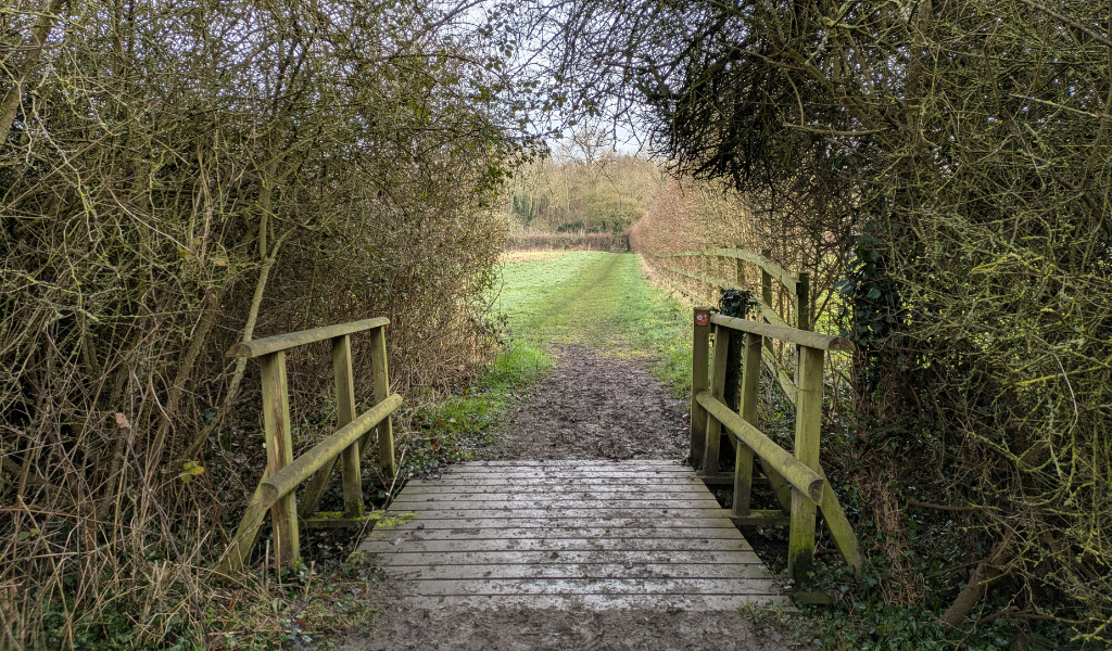 The bridge leading into the 'dedicate a tree' field in Dorothy's Wood