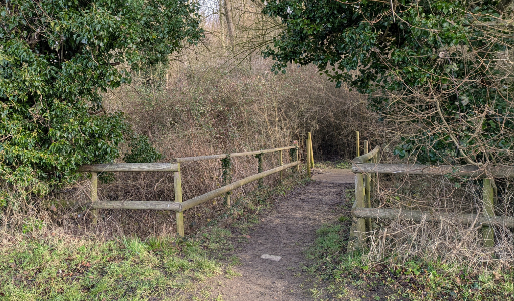 A wooden bridge with handrails across Noleham brook into Roman Fields Wood