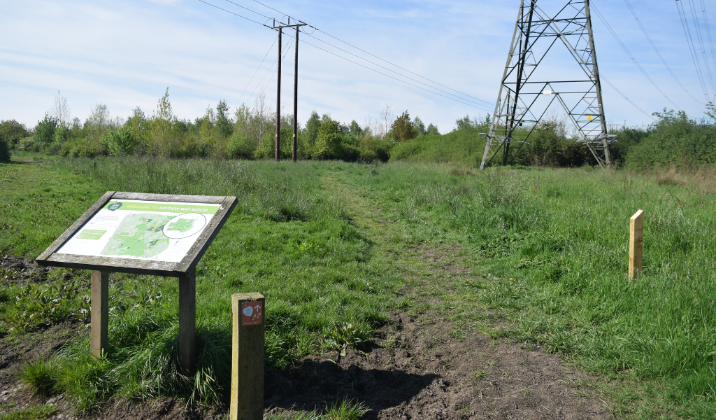 The map board at the beginning of the Forest walk
