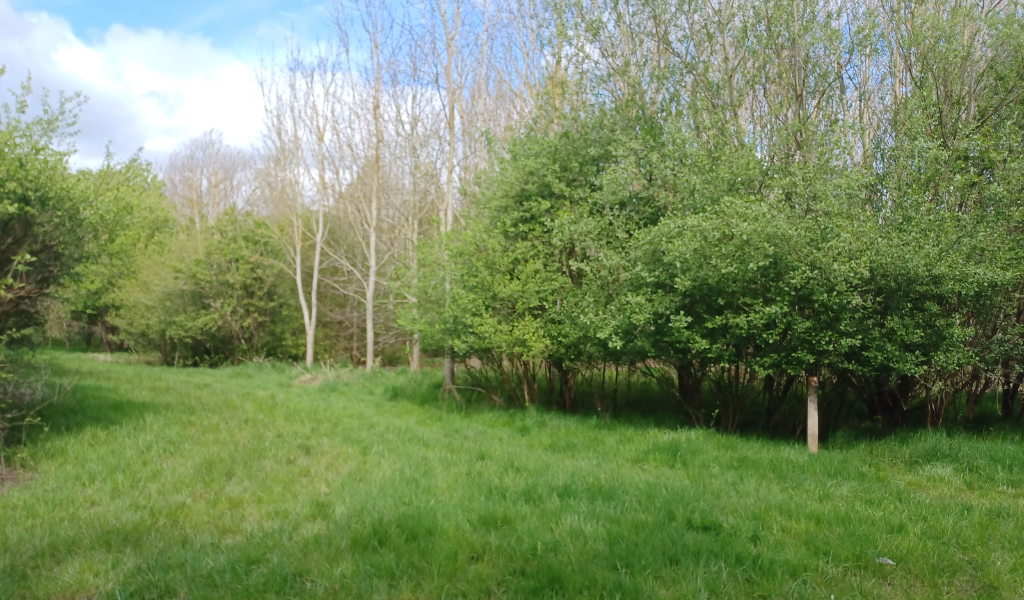 The beginning of the walk near Giddings Wood car park