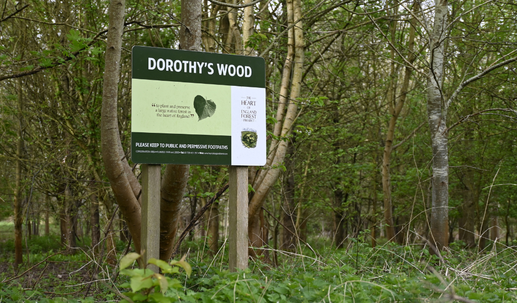 A large rectangle sign reading 'Dorothy's Wood' near the car park