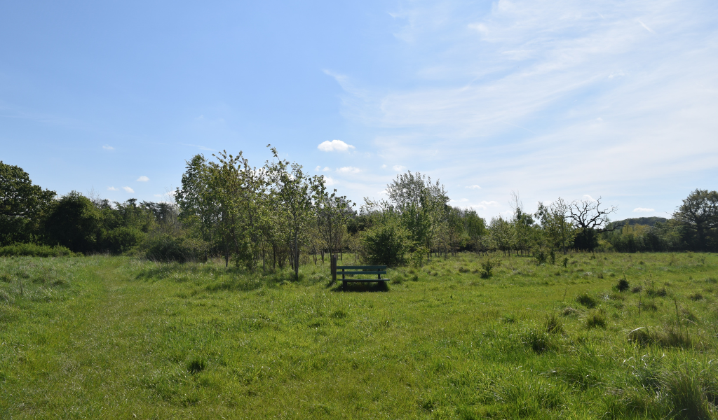 A area at Haydon Way Wood where forest rides meet and a bench in the distance