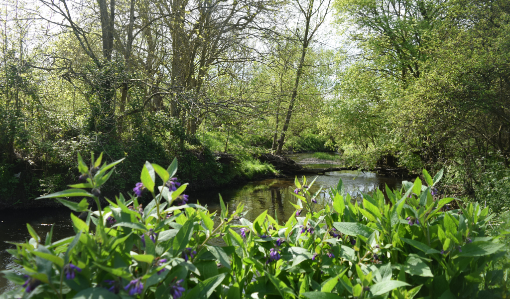 The footpath running adjacent to the River Arrow