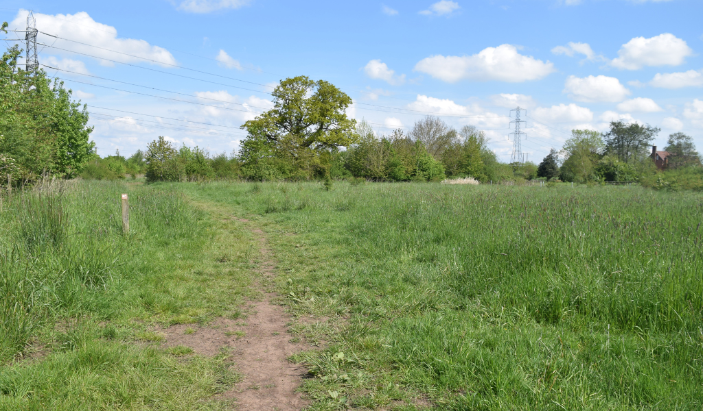 The footpath continuing away from the river and back towards the car park through hedgerows
