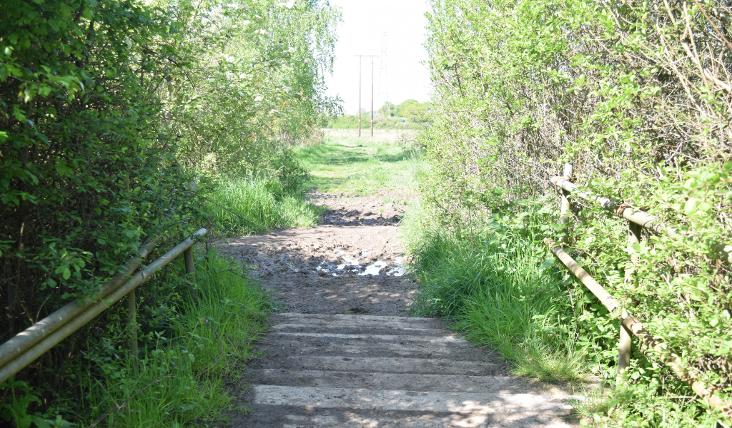 The waymarked footpath leading through a hedgerow and across a small wooden bridge