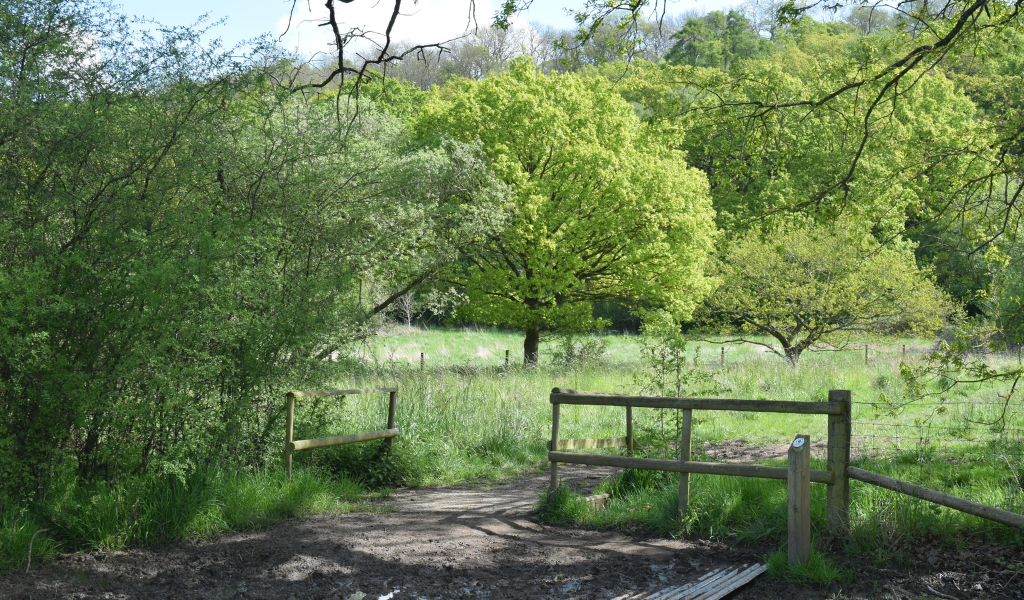 A bridge with view over to the mature trees in Spernal Park