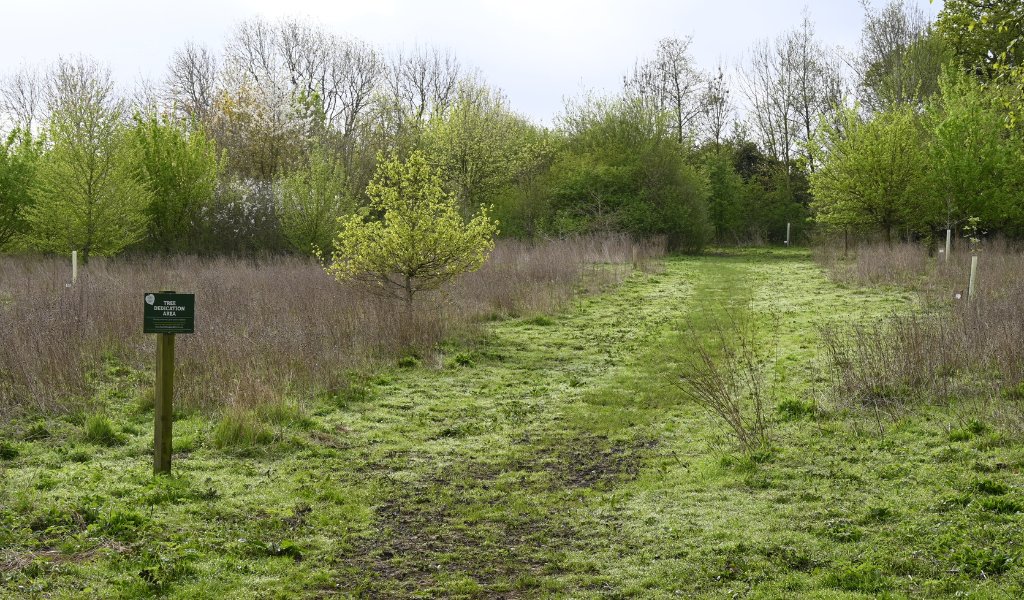 The 'tree dedication' area and sign in Dorothy's Wood