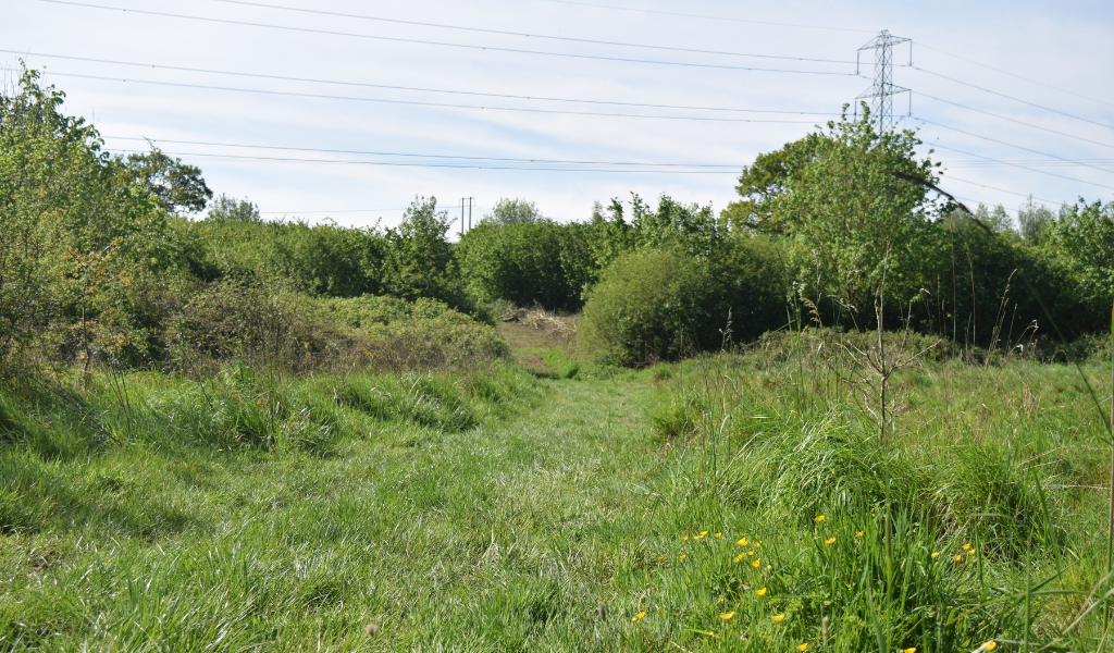 The footpath continues leading to a coppiced hazel area
