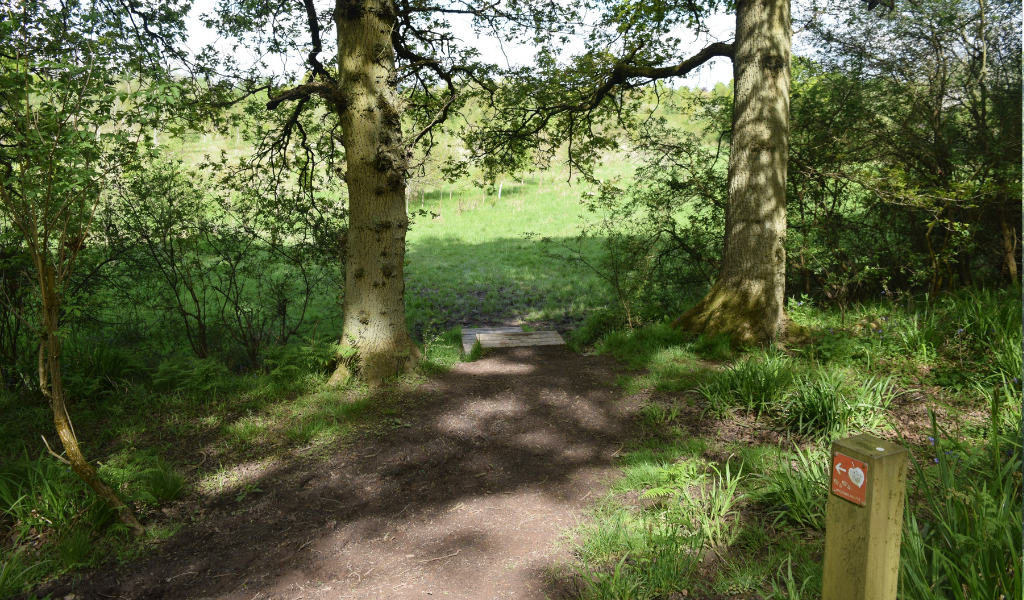 A footpath leading through mature trees to a set of wooden steps