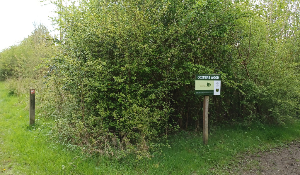 The Coxmere Wood sign at a fork in the woodland path