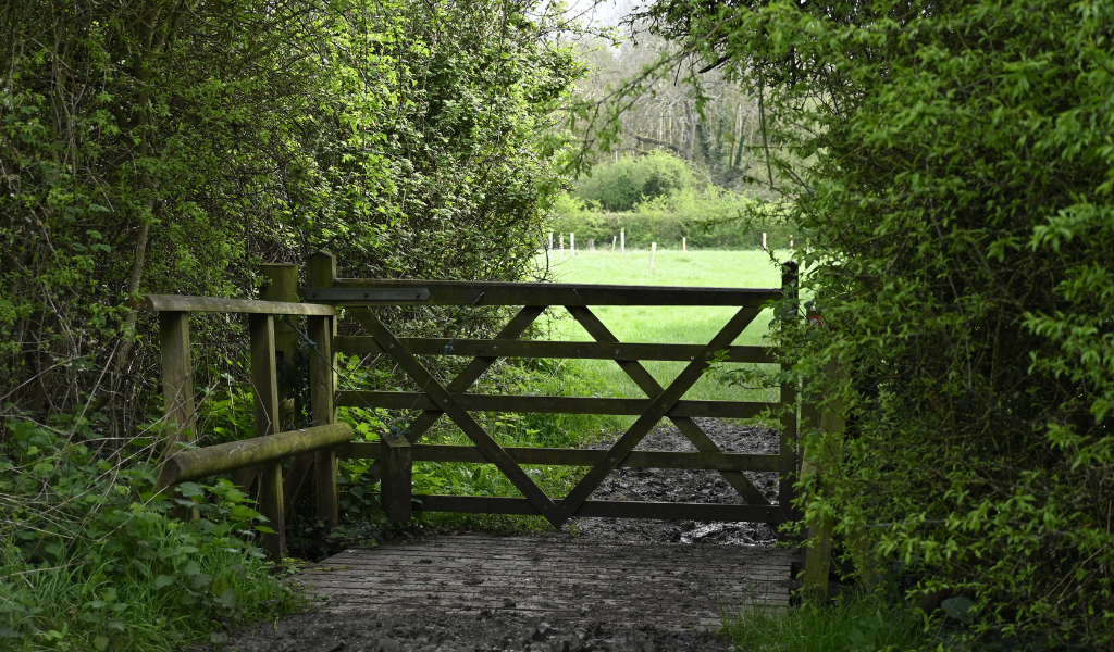 A bridge leading into another tree dedication area in Dorothy's Wood