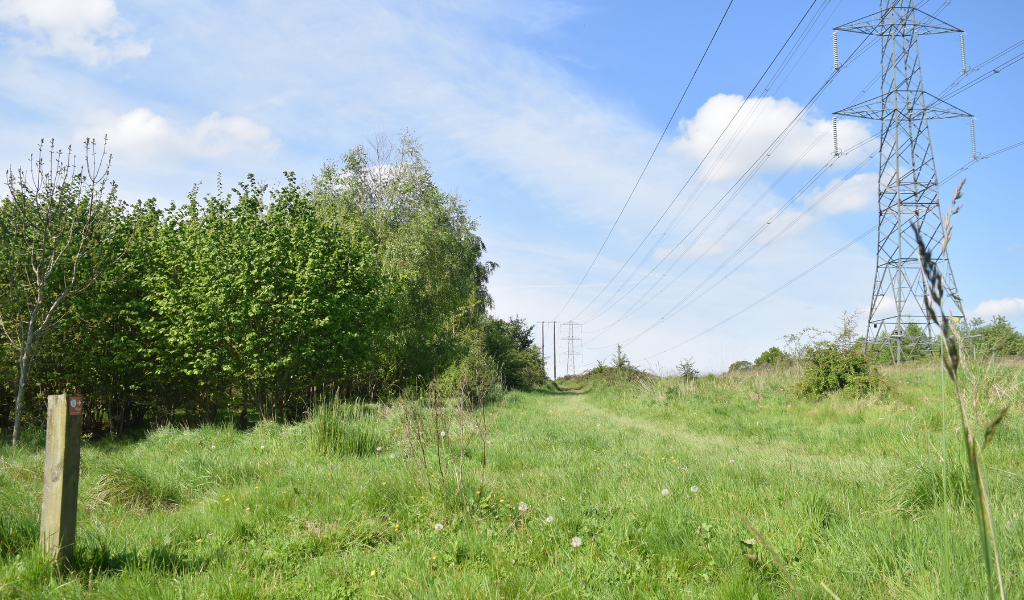 The footpath continuing uphill alongside a woodland edge