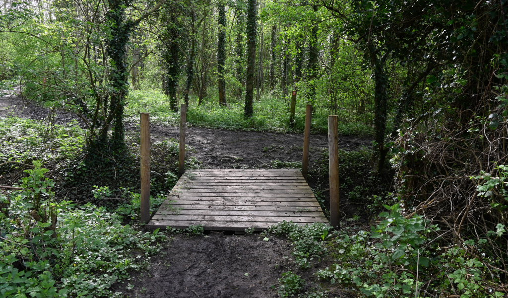 A wooden bridge over Noleham brook