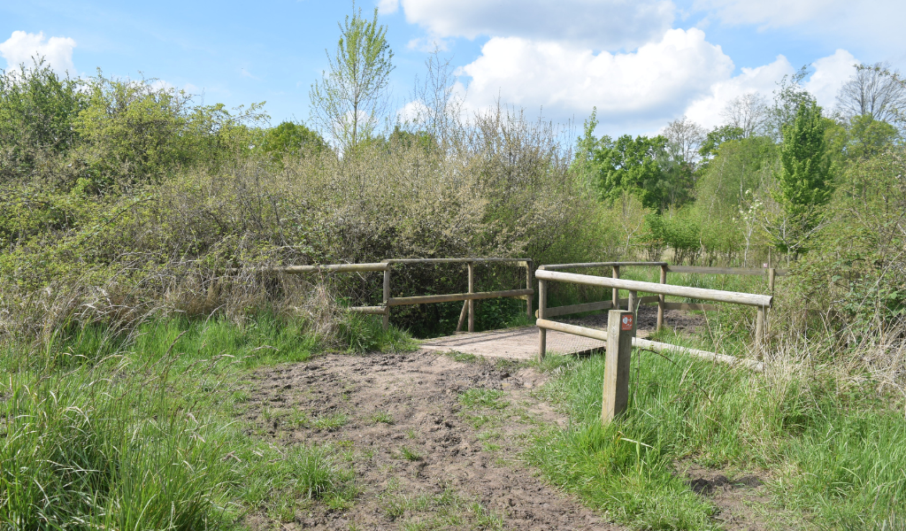 A wooden bridge leading through a hedgerow over a stream