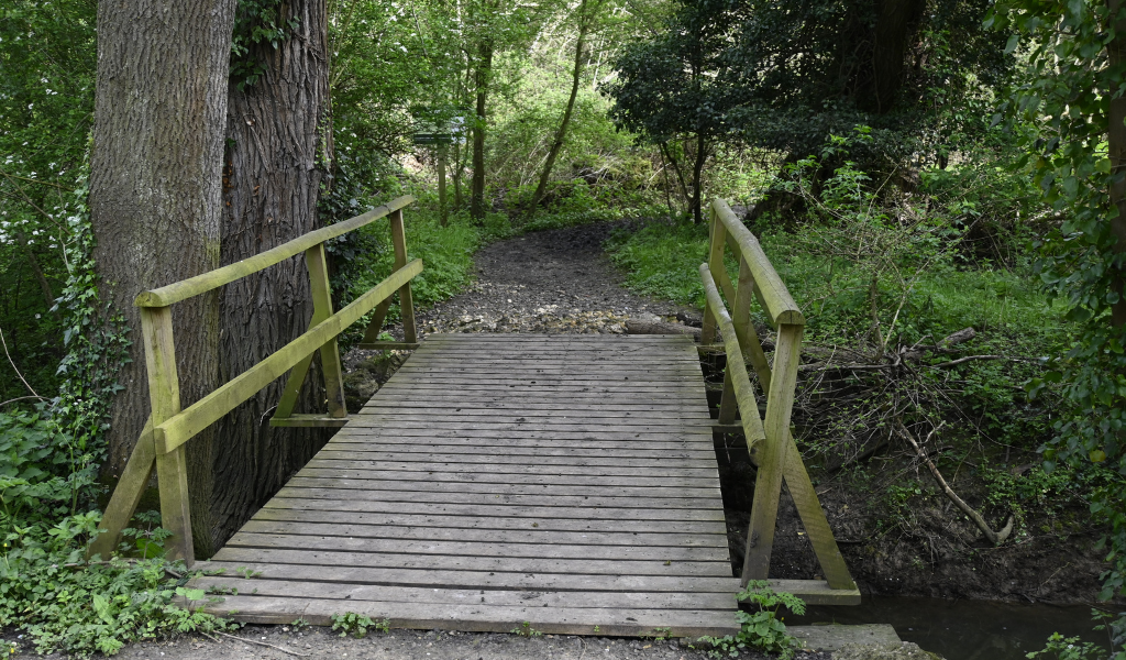 A wooden bridge with handrails across Noleham brook into Roman Fields Wood