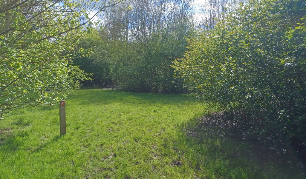 The footpath continuing between hedgerows