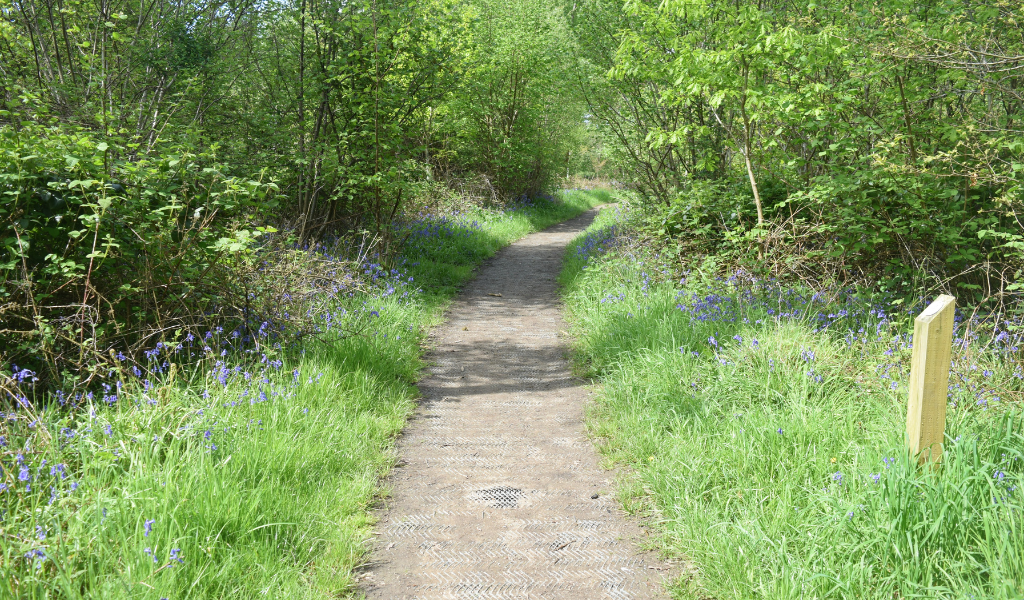 A footpath leading through Morgrove Coppice