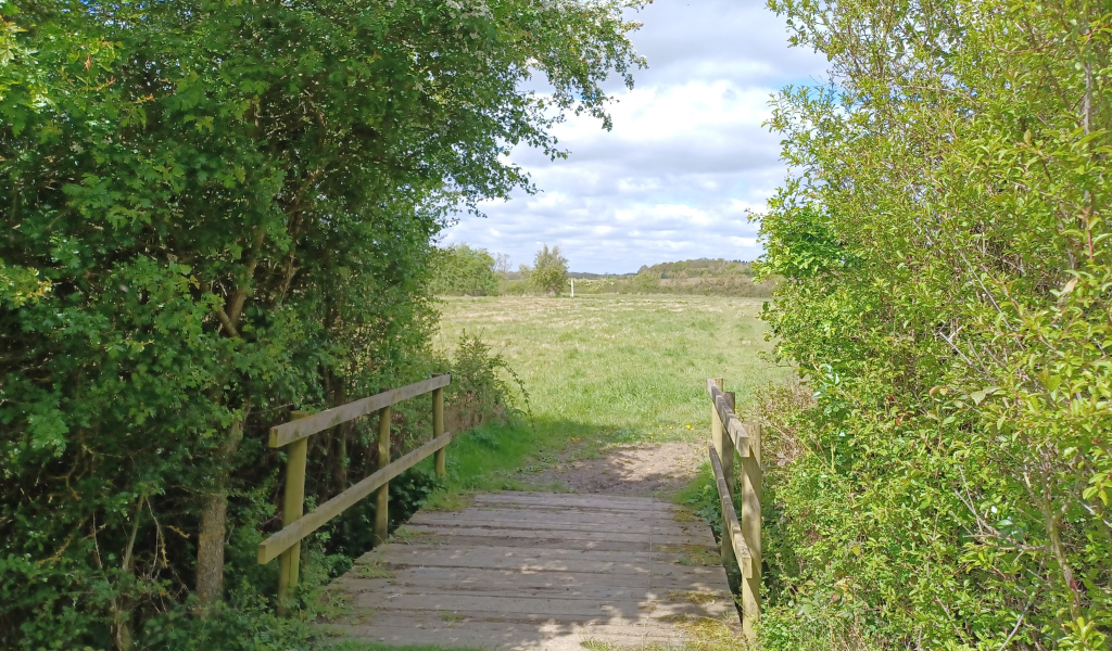 A bridge between hedgerows leading to an open area