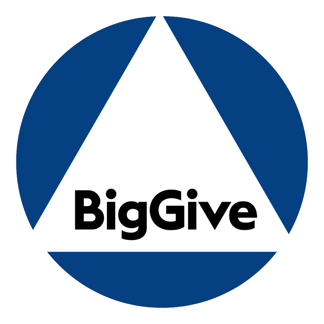 The Big Give logo