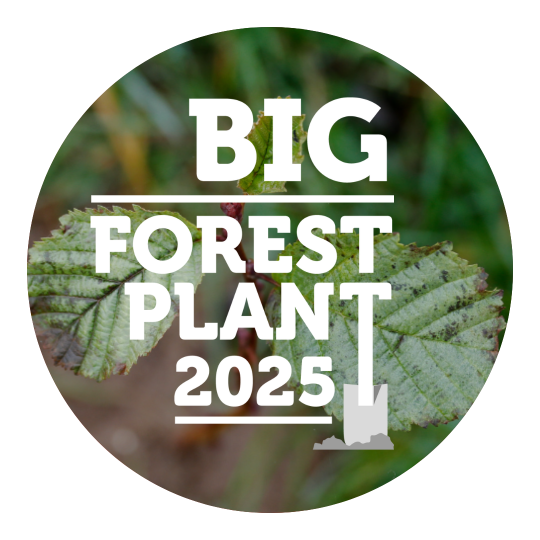 The Big Forest Plant 2025 logo 