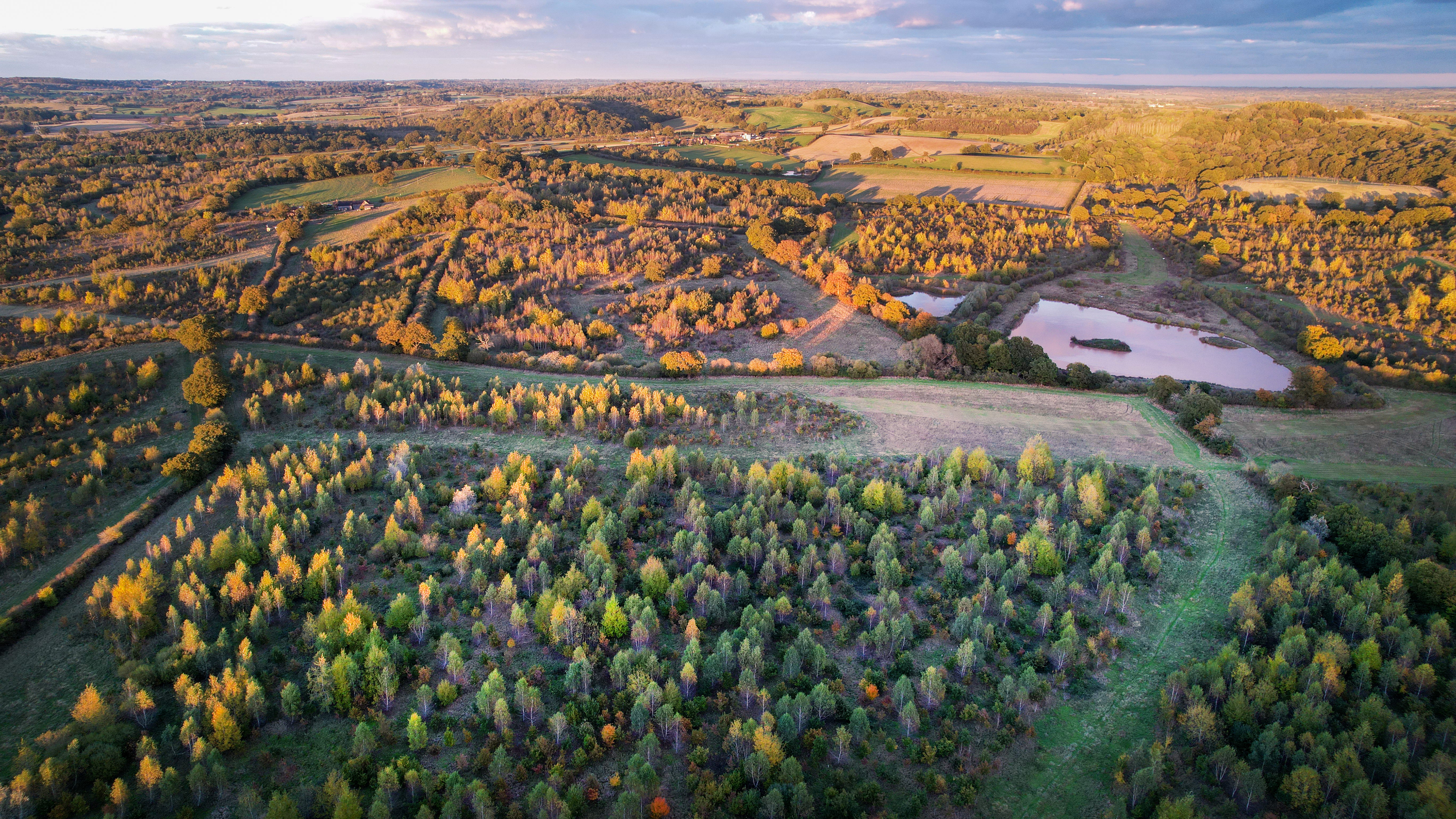 A drone image of middle Spernal with the low autumn sun casting beautiful colours across the canopies