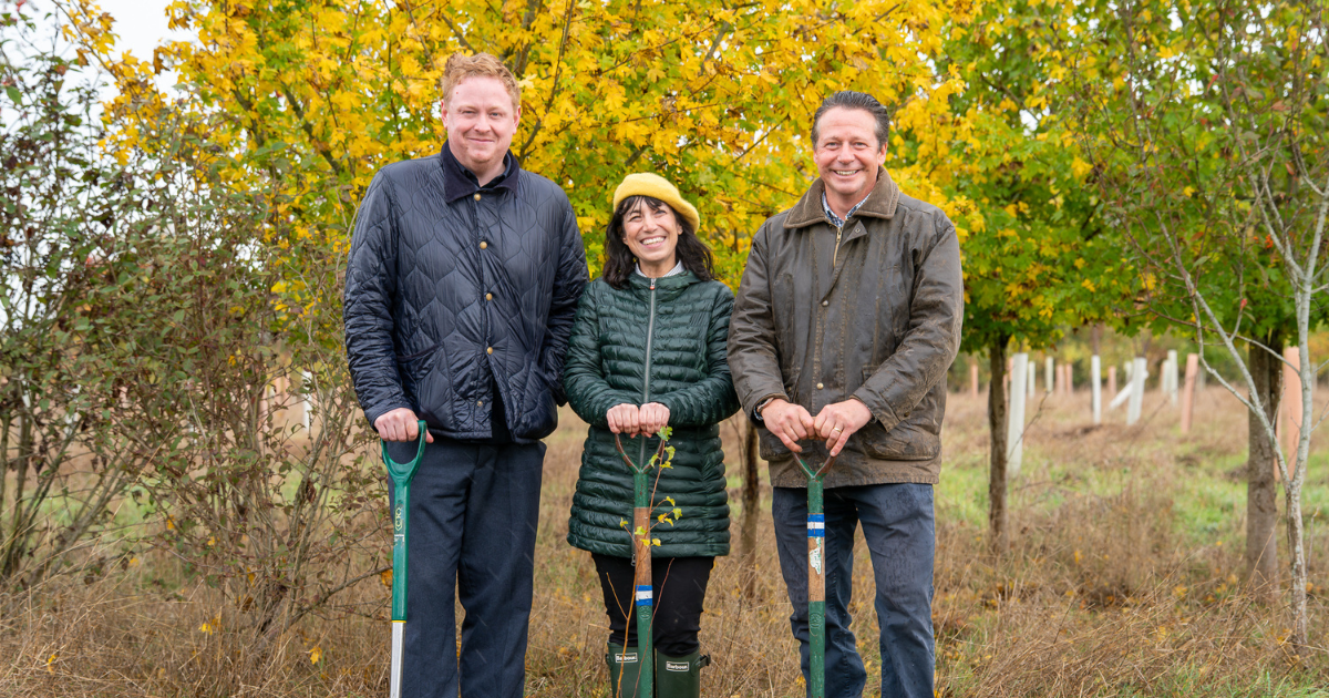 Cross Party Planting day with local MPS coming together for the future of our local green spaces, by planting tree saplings 