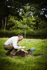 A volunteer planting the 1 millionth tree in the Forest