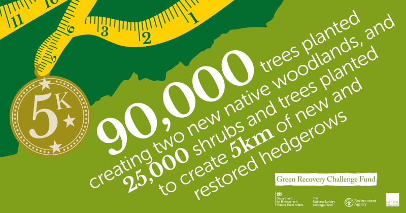 A colourful infographic of a 5k medal with a measuring tape as a ribbon and text saying '90,000 trees planted creating two new native woodlands and 25,000 trees and shrubs planted to create 5km of new and restored hedgerows 