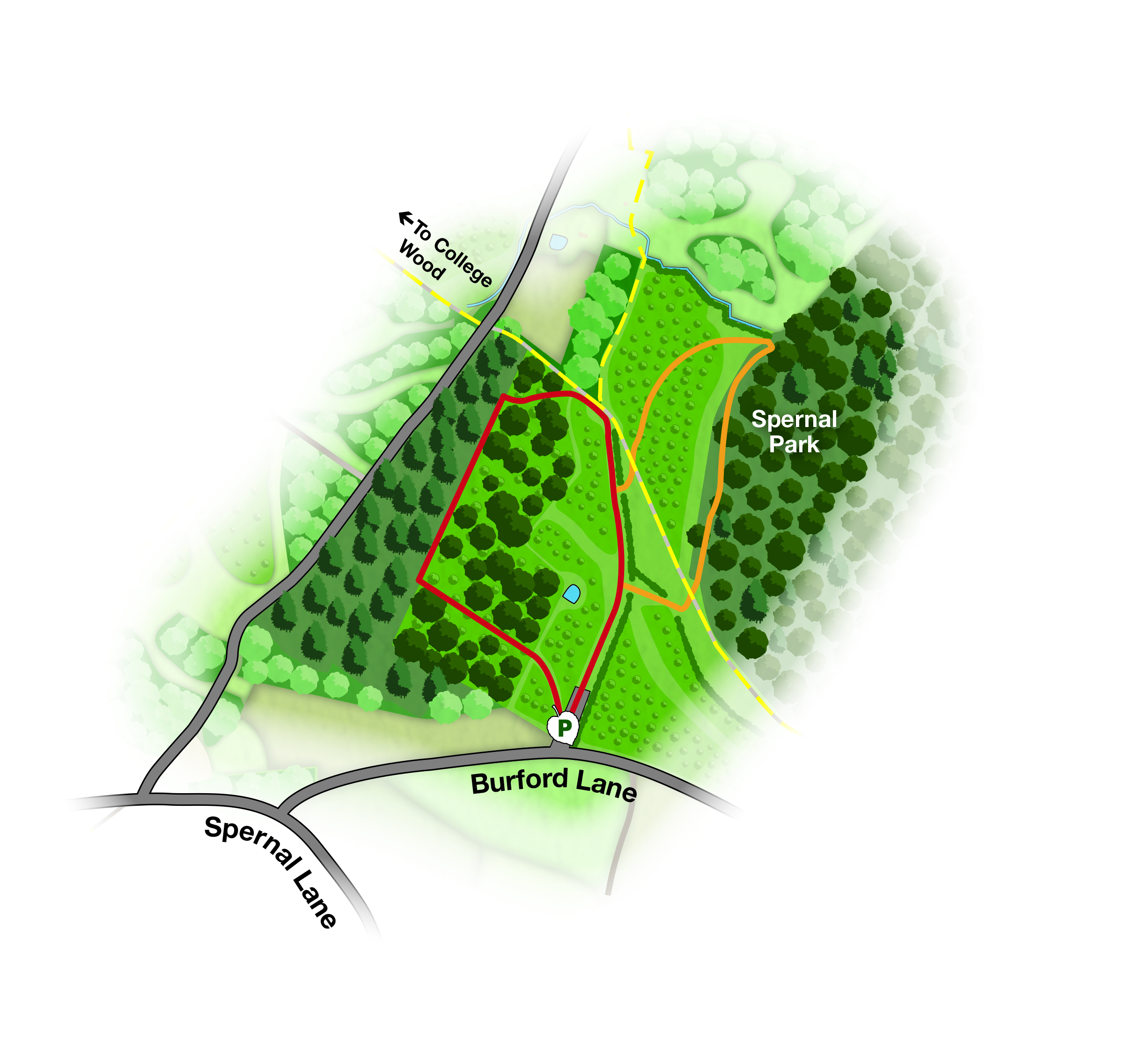 Map showing the walking route at Morgrove Coppice in the Forest