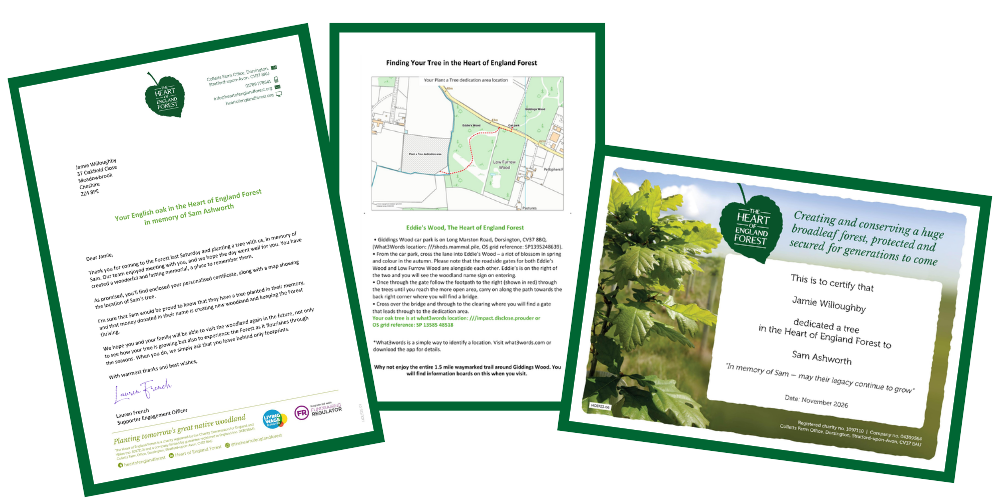 The Plant a Tree dedication pack