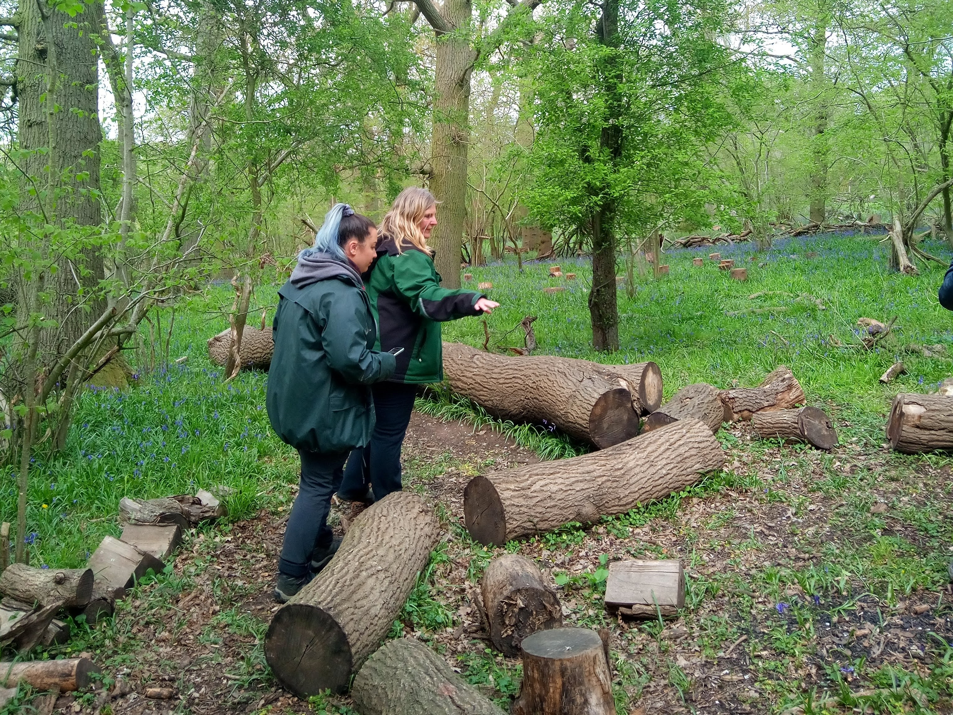 Tasha and Elain standing by some fallen tree trunks in Wild Wood 2