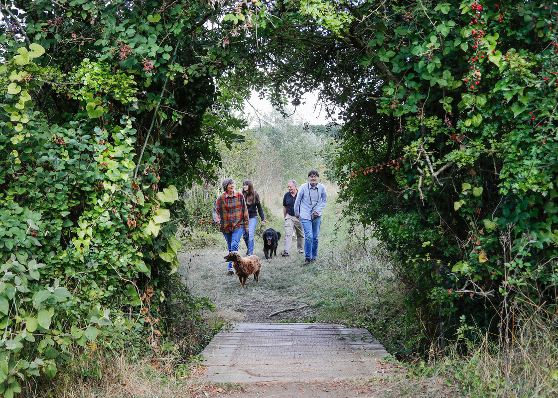 family walking in the Forest with their dogs