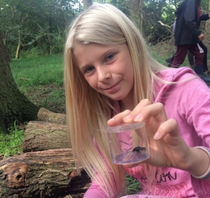 A young forester holding a bug she's caught in a plastic container