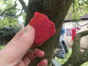 A piece of red play dough with natural patterns engraved onto it