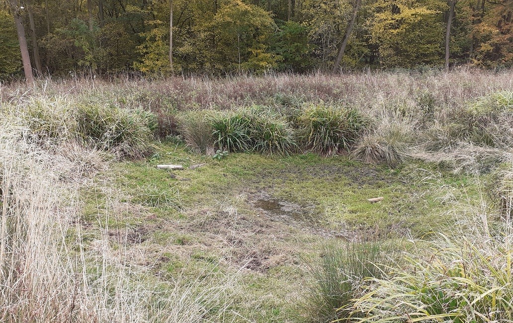 Temporary pond at Sheriff's Lench which is dry in the summer 