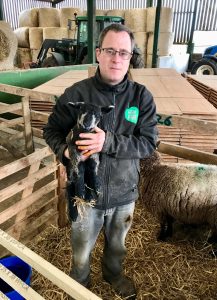 A volunteer with our first blue texel lamb