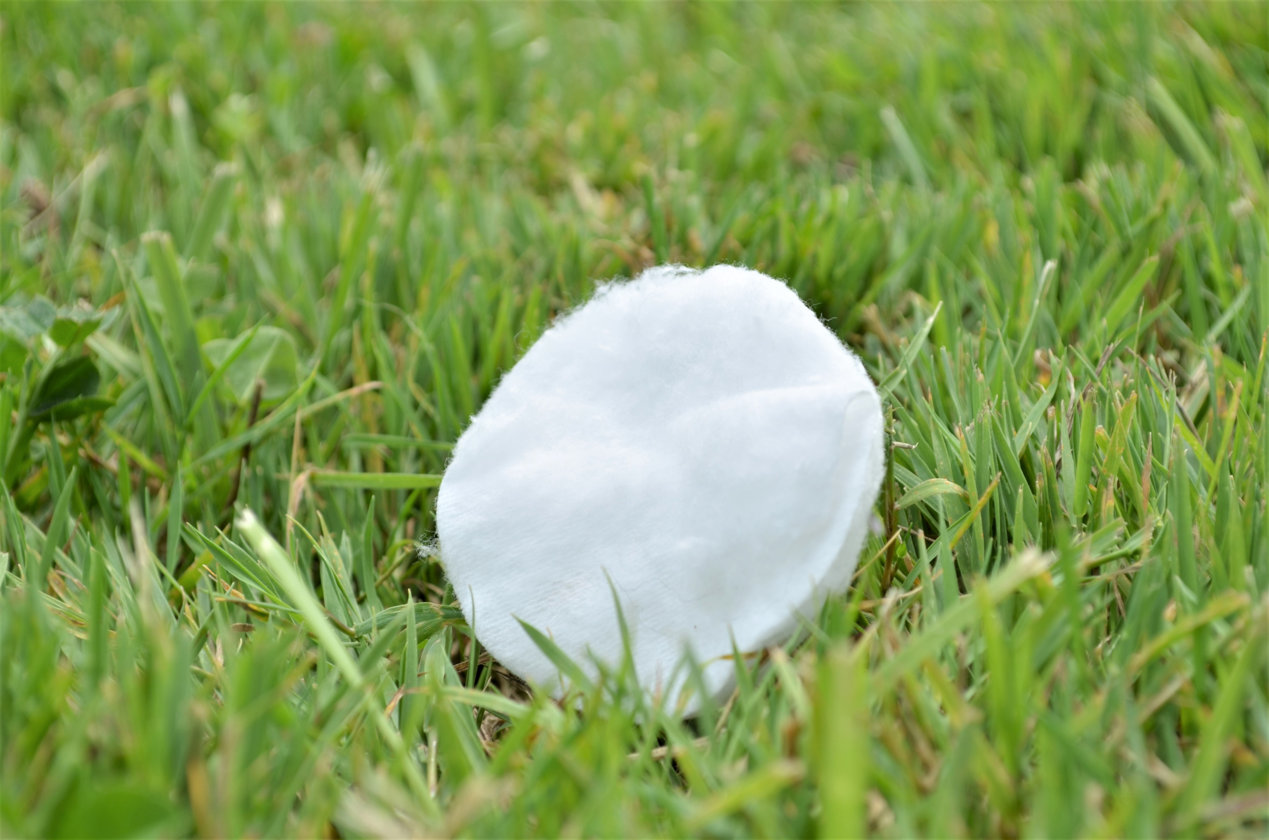 Close up of a cotton pad in some grass